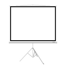 Экран на треноге Deluxe DLS-T203x154W (80"х60"), Ø - 100", Раб. поверхность 203х154 см., 4:3